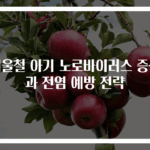 겨울철 아기 노로바이러스 증상과 전염 예방 전략