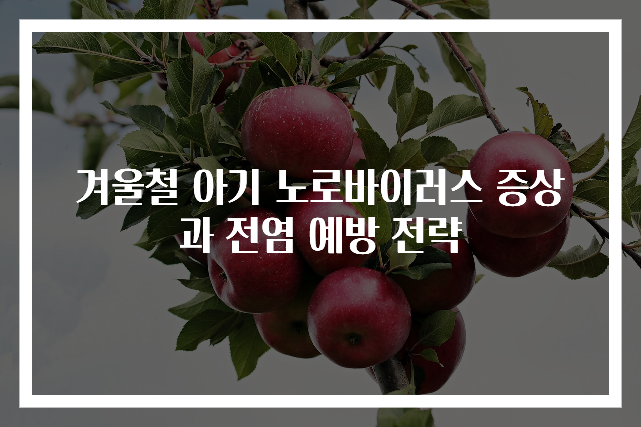 겨울철 아기 노로바이러스 증상과 전염 예방 전략