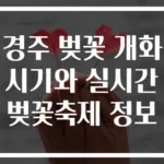 경주 벚꽃 개화시기와 실시간 벚꽃축제 정보