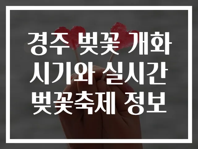 경주 벚꽃 개화시기와 실시간 벚꽃축제 정보