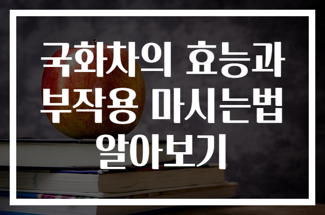 국화차의 효능과 부작용 마시는법 알아보기