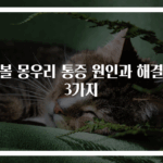 귓볼 몽우리 통증 원인과 해결법 3가지