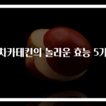 녹차카테킨의 놀라운 효능 5가지