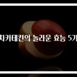녹차카테킨의 놀라운 효능 5가지