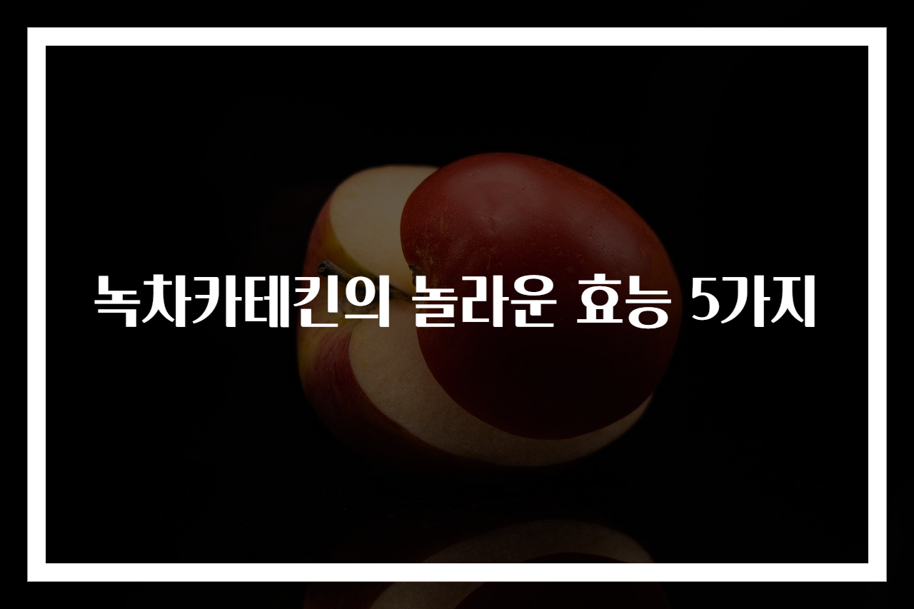 녹차카테킨의 놀라운 효능 5가지