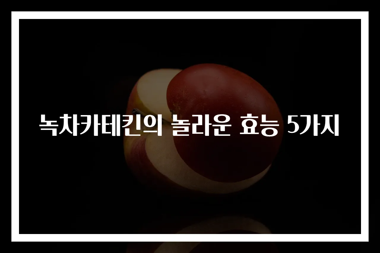 녹차카테킨의 놀라운 효능 5가지