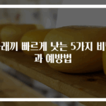 다래끼 빠르게 낫는 5가지 비법과 예방법