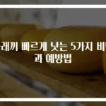 다래끼 빠르게 낫는 5가지 비법과 예방법