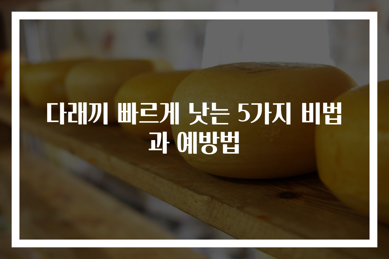 다래끼 빠르게 낫는 5가지 비법과 예방법