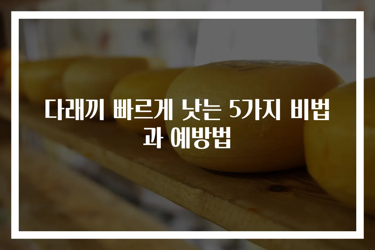 다래끼 빠르게 낫는 5가지 비법과 예방법