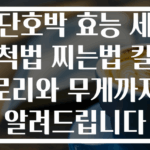 단호박 효능 세척법 찌는법 칼로리와 무게까지 알려드립니다