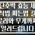 단호박 효능 세척법 찌는법 칼로리와 무게까지 알려드립니다