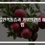 무릎안쪽통증과 거위발건염 해결법