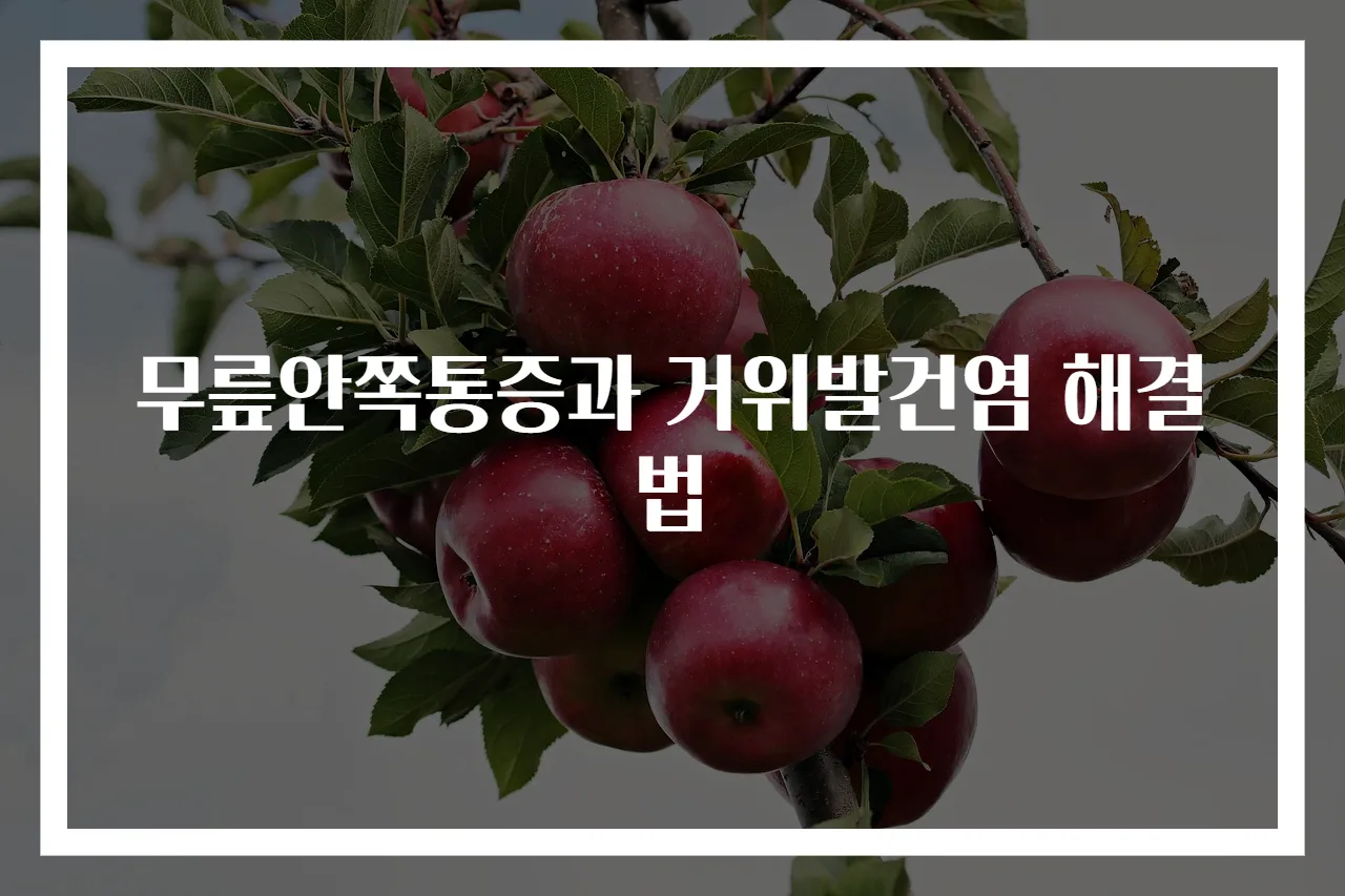 무릎안쪽통증과 거위발건염 해결법