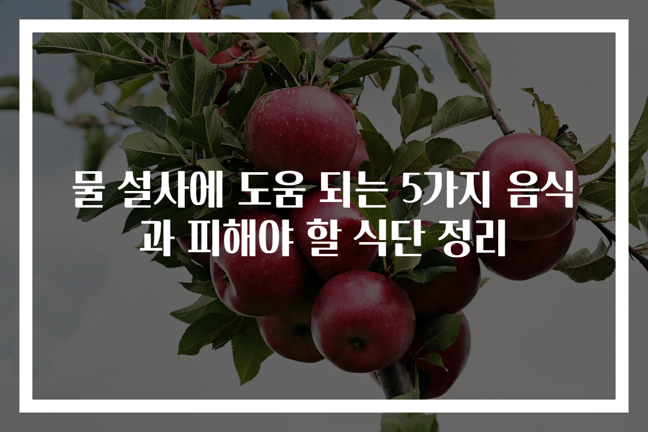 물 설사에 도움 되는 5가지 음식과 피해야 할 식단 정리