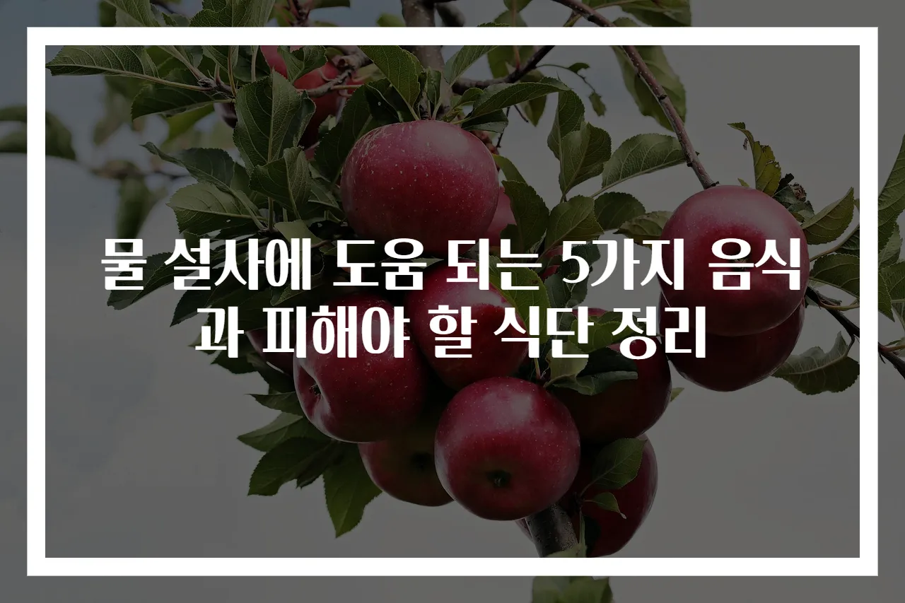 물 설사에 도움 되는 5가지 음식과 피해야 할 식단 정리