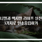 미니멀과 맥시멀 라이프 실천법 3가지로 탄소중립하기