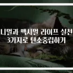 미니멀과 맥시멀 라이프 실천법 3가지로 탄소중립하기