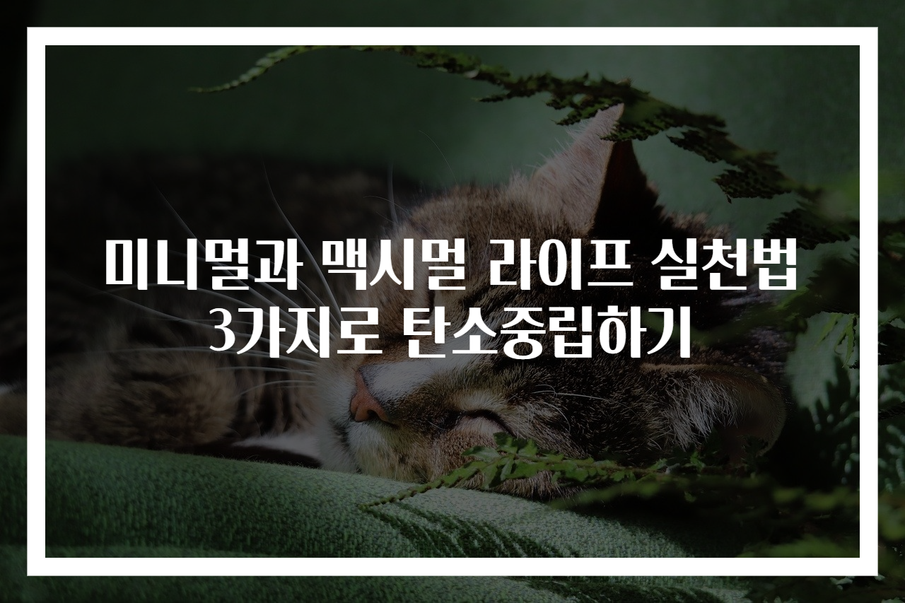 미니멀과 맥시멀 라이프 실천법 3가지로 탄소중립하기