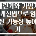 배란기와 가임기 계산법으로 임신 가능성 높이기