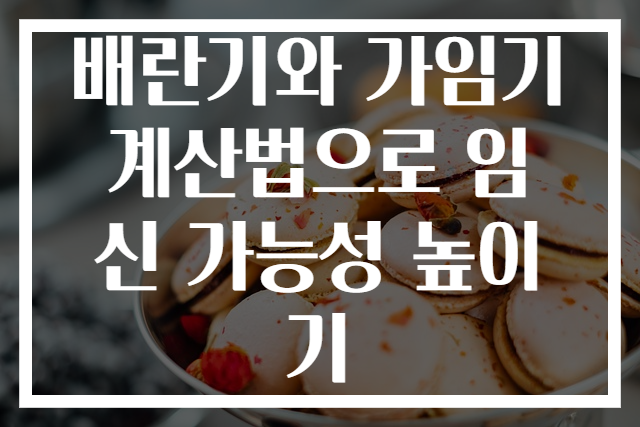 배란기와 가임기 계산법으로 임신 가능성 높이기