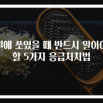 벌에 쏘였을 때 반드시 알아야 할 5가지 응급처치법