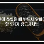 벌에 쏘였을 때 반드시 알아야 할 5가지 응급처치법