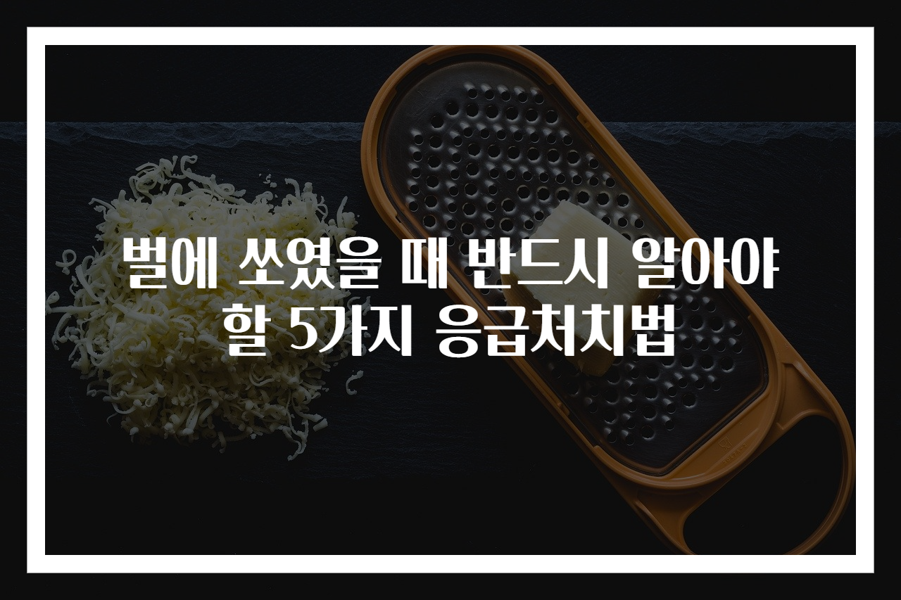 벌에 쏘였을 때 반드시 알아야 할 5가지 응급처치법