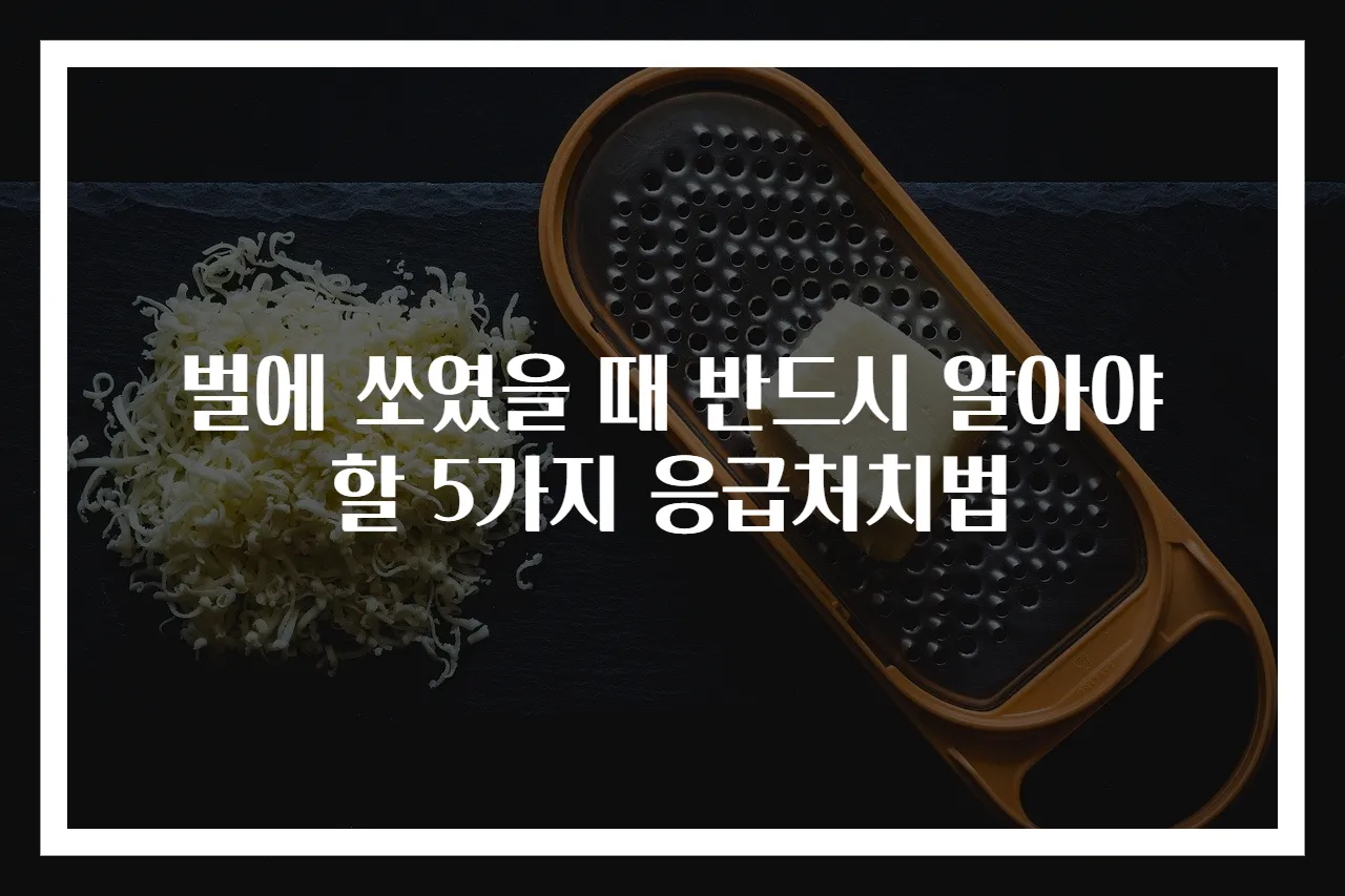 벌에 쏘였을 때 반드시 알아야 할 5가지 응급처치법