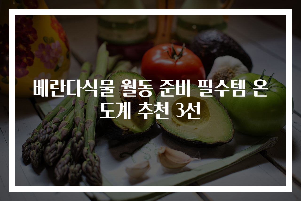 베란다식물 월동 준비 필수템 온도계 추천 3선