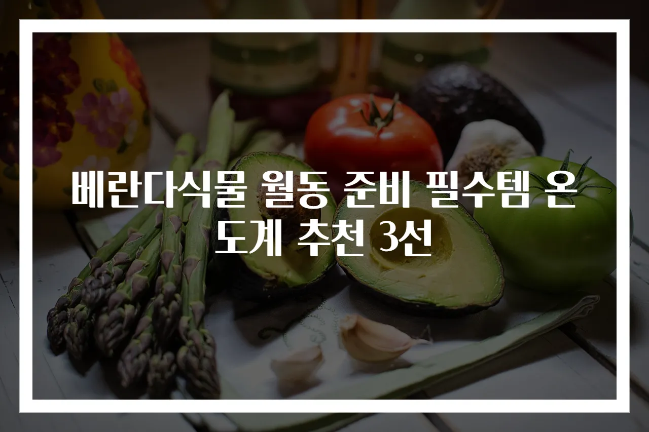 베란다식물 월동 준비 필수템 온도계 추천 3선