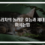 보리차의 놀라운 효능과 제대로 마시는법