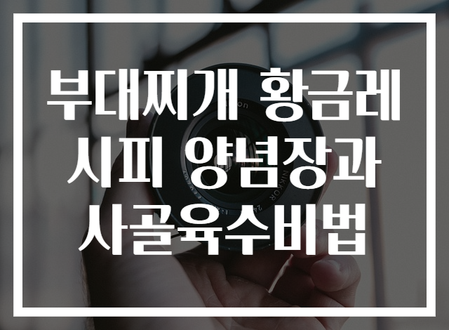 부대찌개 황금레시피 양념장과 사골육수비법