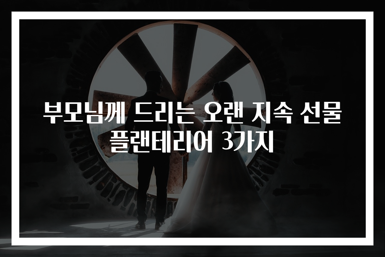 부모님께 드리는 오랜 지속 선물 플랜테리어 3가지