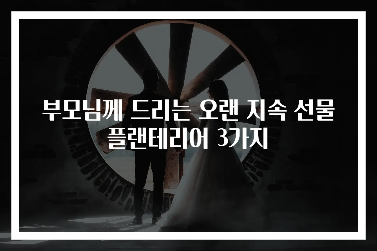 부모님께 드리는 오랜 지속 선물 플랜테리어 3가지
