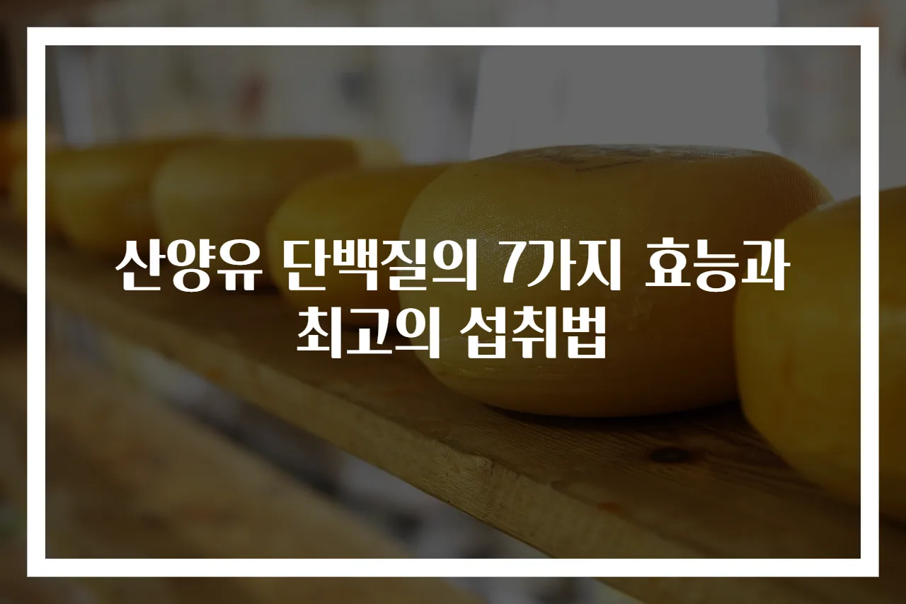산양유 단백질의 7가지 효능과 최고의 섭취법
