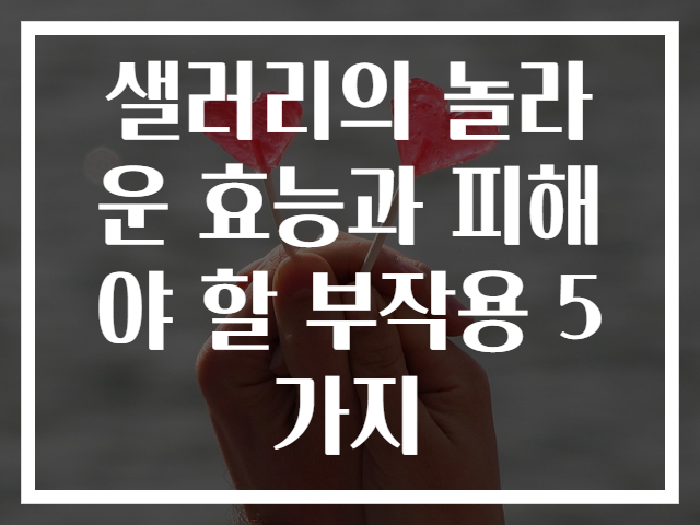 샐러리의 놀라운 효능과 피해야 할 부작용 5가지