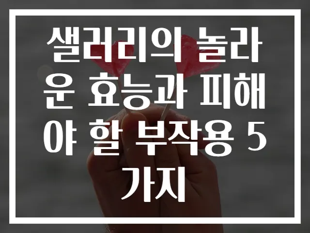 샐러리의 놀라운 효능과 피해야 할 부작용 5가지