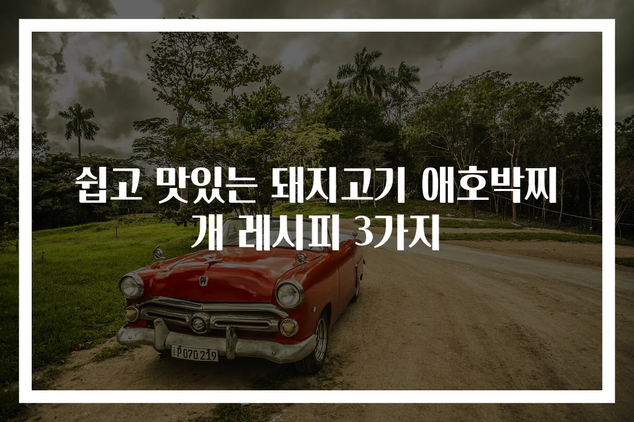 쉽고 맛있는 돼지고기 애호박찌개 레시피 3가지