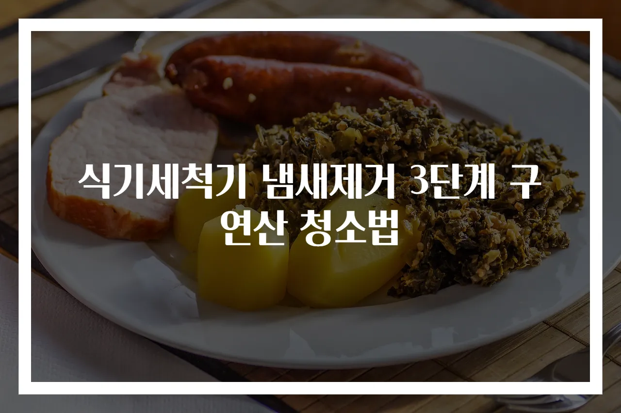 식기세척기 냄새제거 3단계 구연산 청소법
