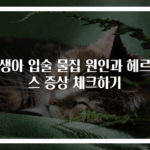 신생아 입술 물집 원인과 헤르페스 증상 체크하기