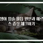신생아 입술 물집 원인과 헤르페스 증상 체크하기