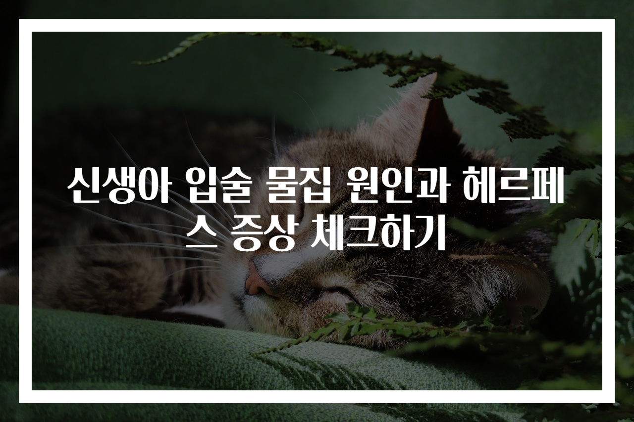 신생아 입술 물집 원인과 헤르페스 증상 체크하기