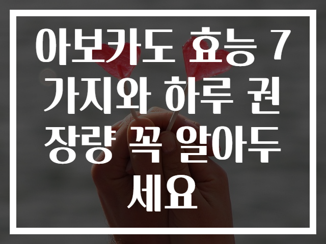 아보카도 효능 7가지와 하루 권장량 꼭 알아두세요