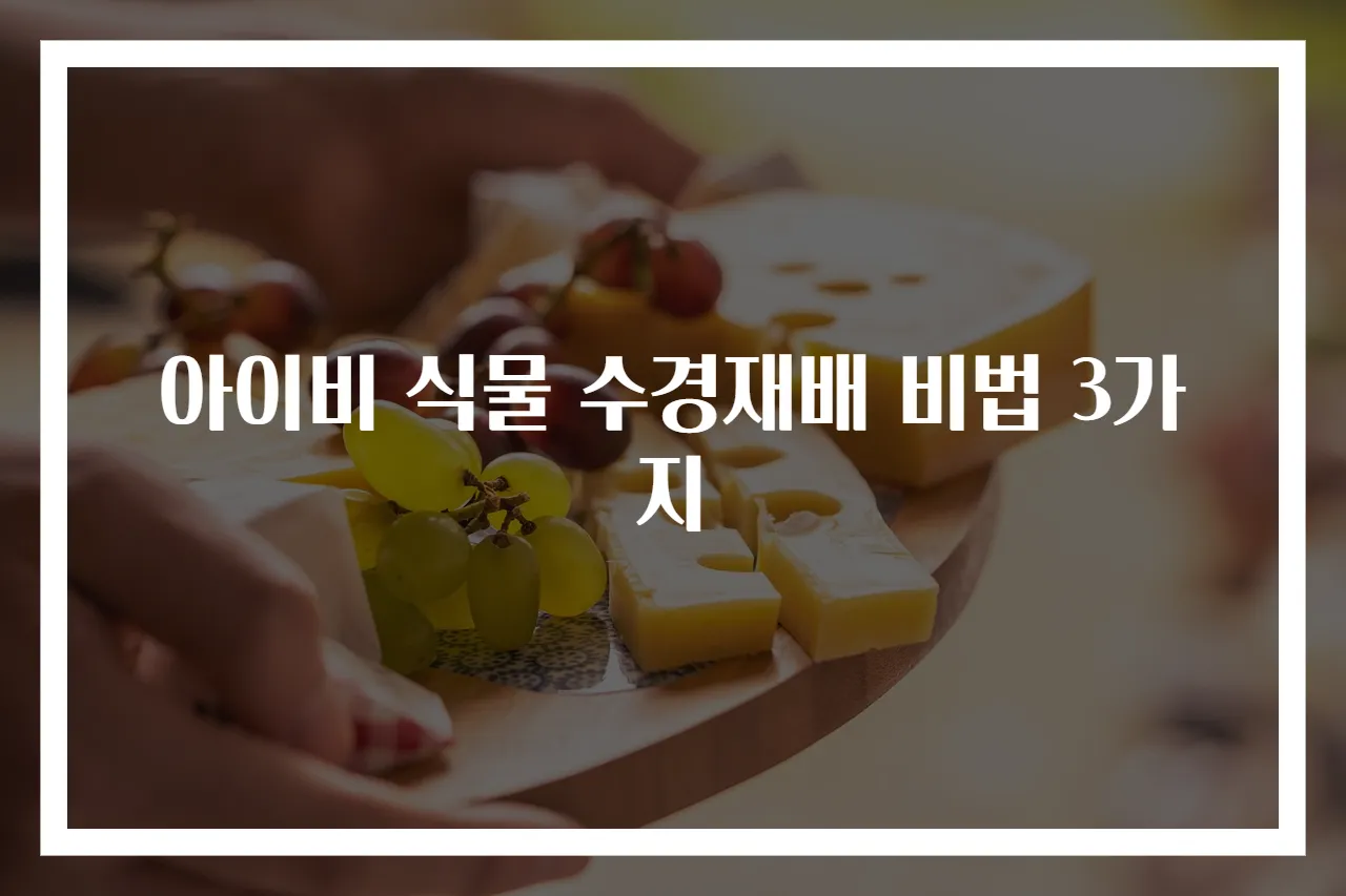 아이비 식물 수경재배 비법 3가지