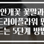 안개꽃 꽃말과 드라이플라워 만드는 5단계 방법