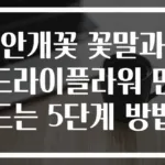 안개꽃 꽃말과 드라이플라워 만드는 5단계 방법