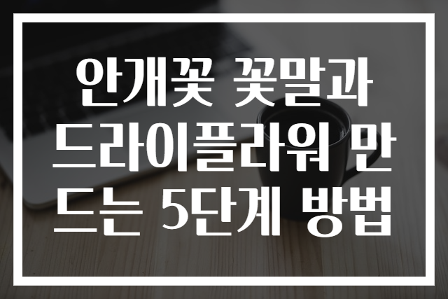 안개꽃 꽃말과 드라이플라워 만드는 5단계 방법