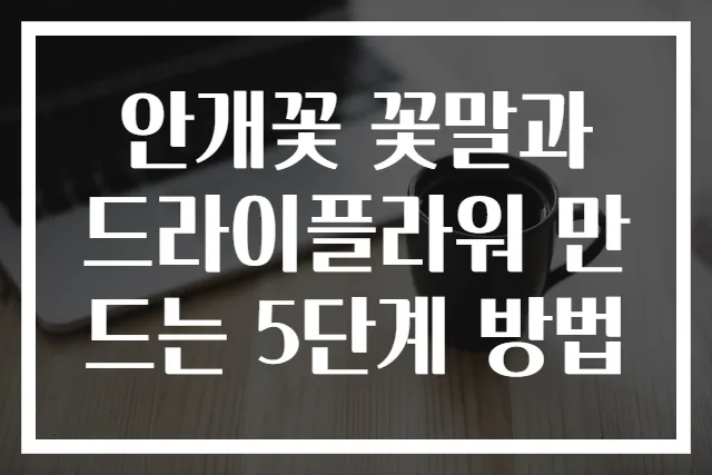안개꽃 꽃말과 드라이플라워 만드는 5단계 방법