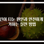 어린이 티눈 원인과 안전하게 제거하는 실전 방법